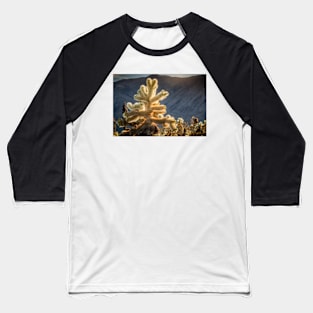 Glowing Cholla Cactus Baseball T-Shirt